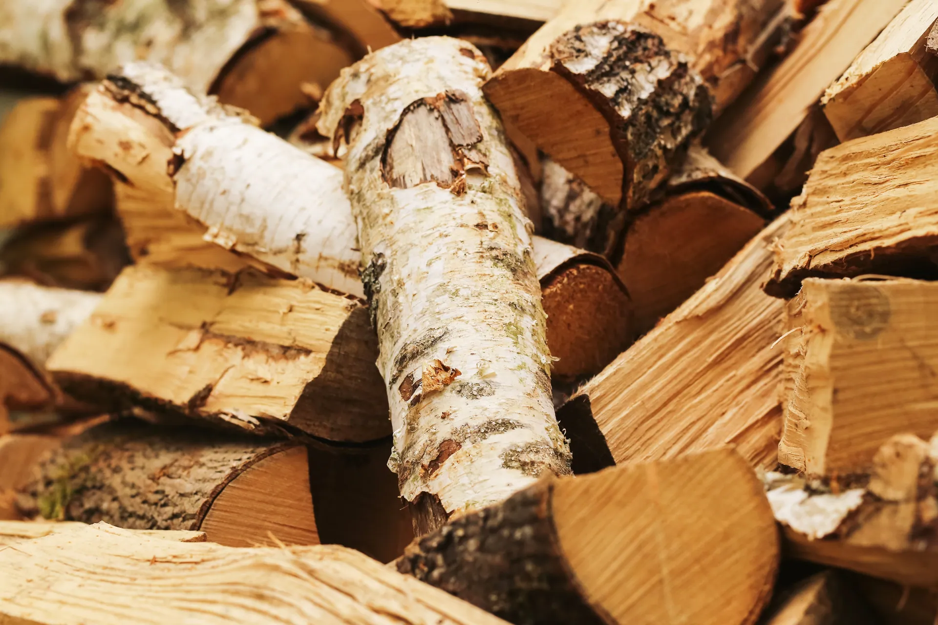 Stacked birch firewood, close up
