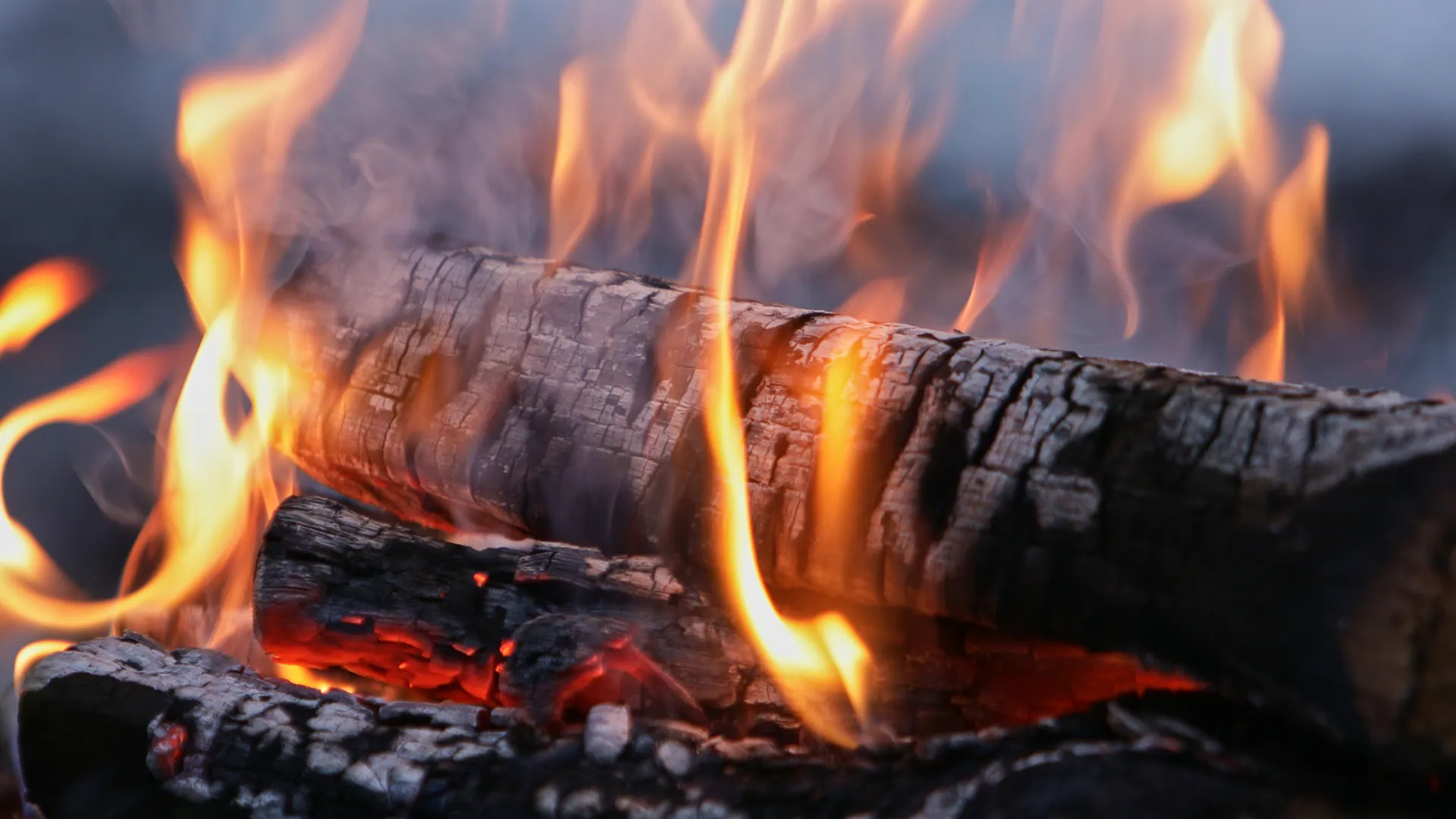 Close-up of logs burning, wide crop